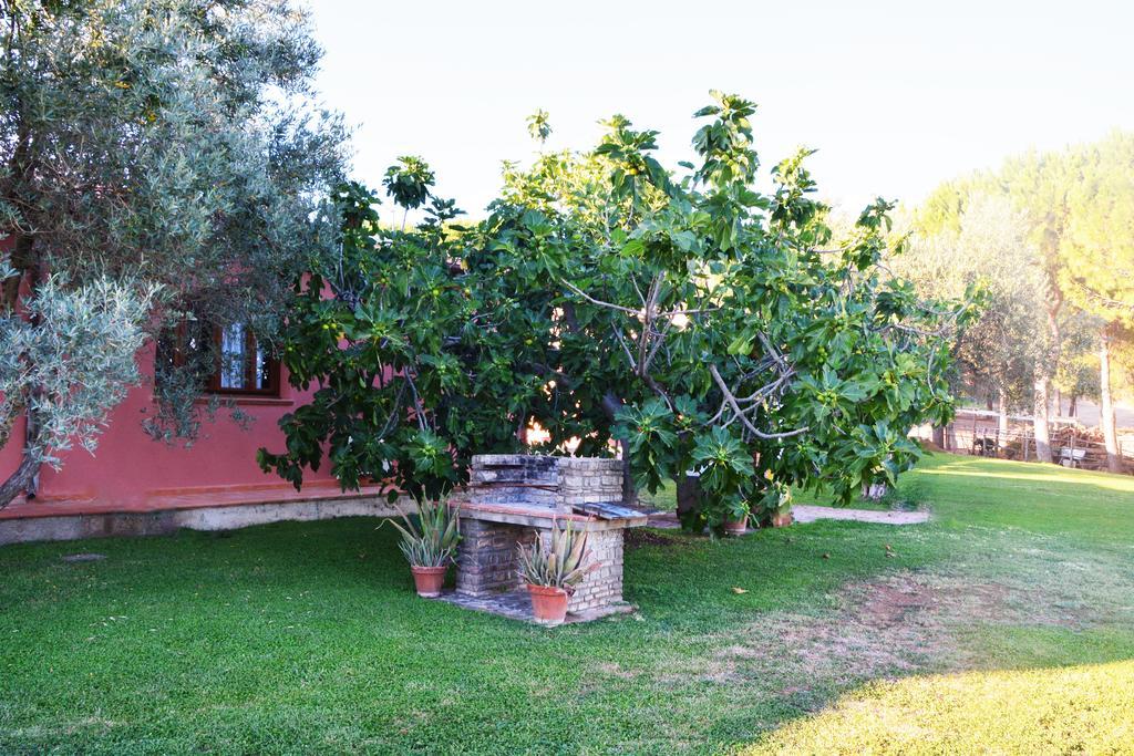Agriturismo L'Aquilone Magliano in Toscana Exterior photo