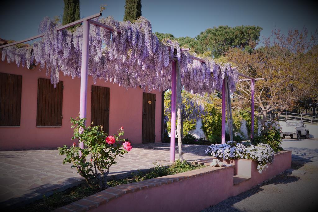 Agriturismo L'Aquilone Magliano in Toscana Exterior photo