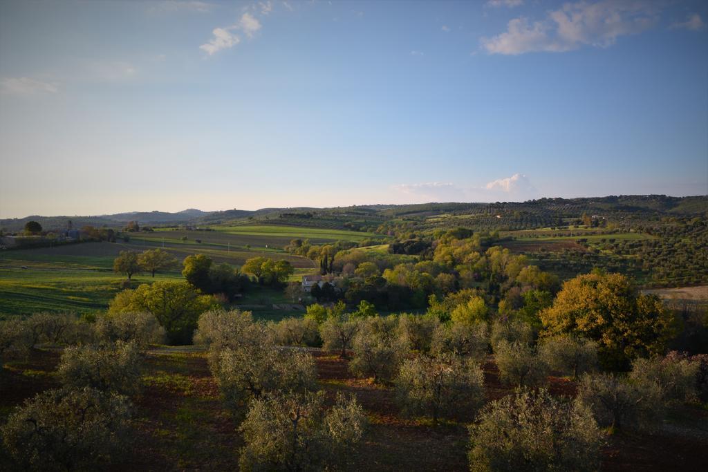 Agriturismo L'Aquilone Magliano in Toscana Exterior photo